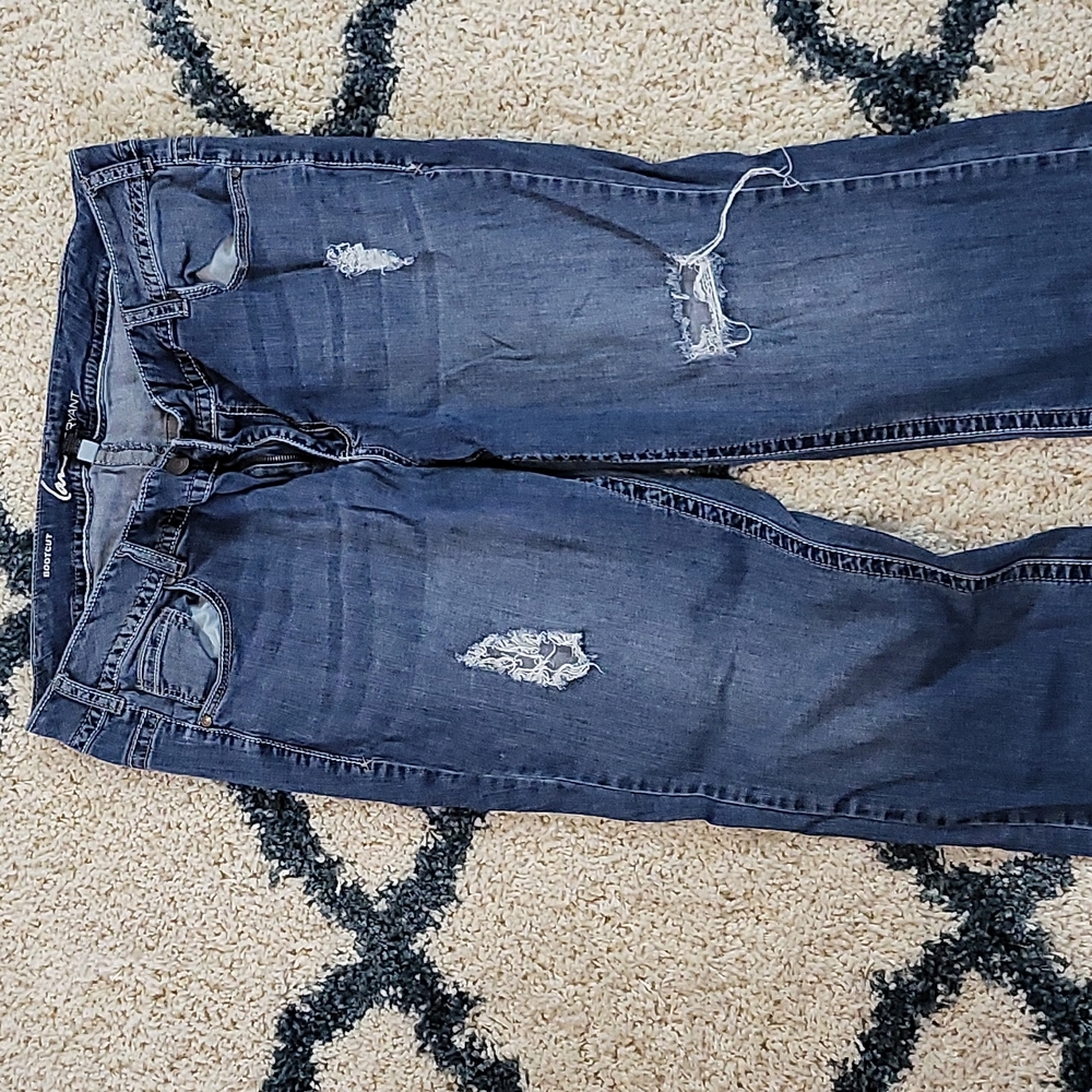 Lane Bryant Plus Jeans 22w